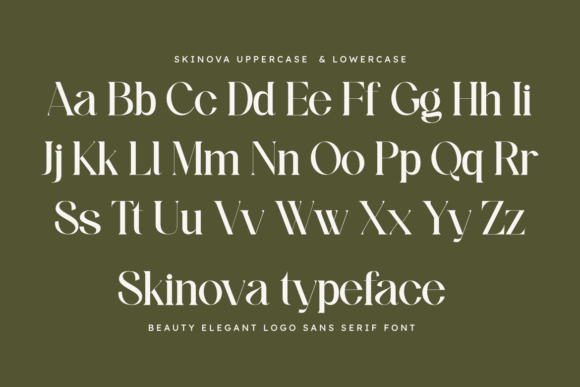 Skinova Font PNG with transparent background - Preview 1