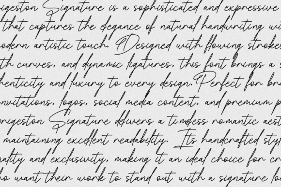 Brigeston Signature Font - Preview 3
