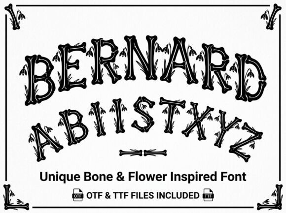 Bernard Font - Preview 2
