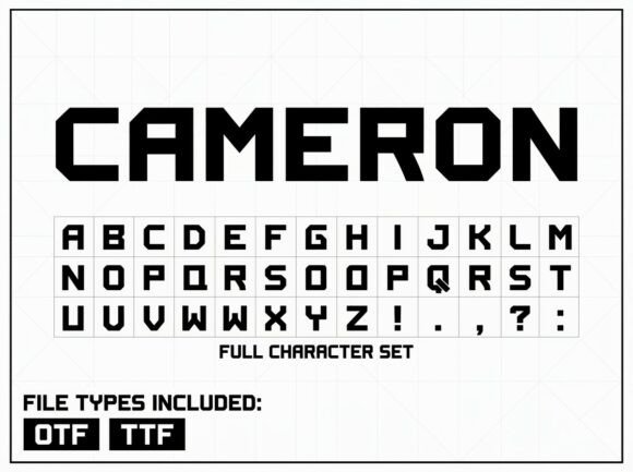 Cameron Font - Preview 2