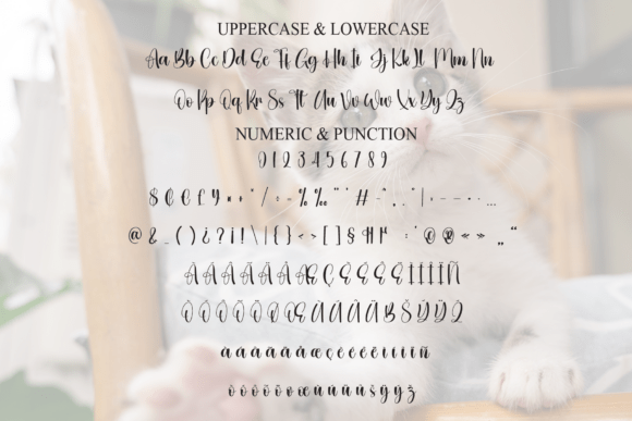 Cattiest Font - Preview 6