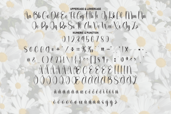 Daisy Font - Preview 6