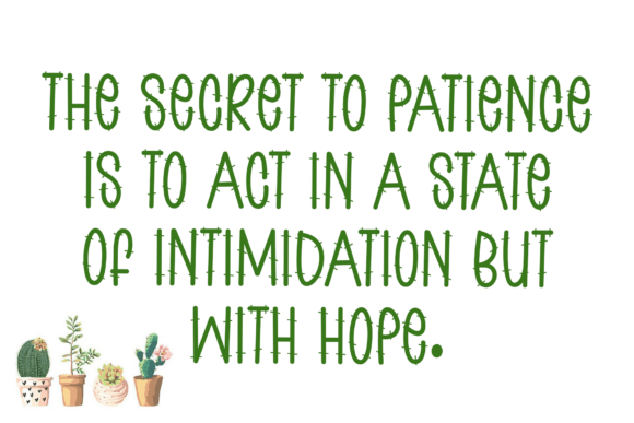 Cactus Font - Preview 3