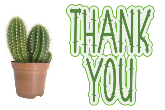 Cactus Font - Preview 4