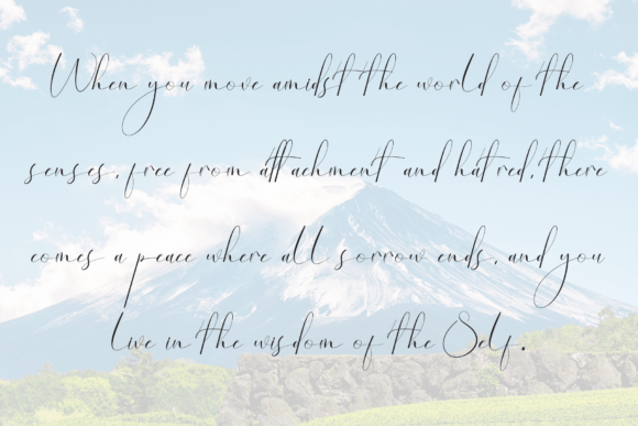 Century Font - Preview 5