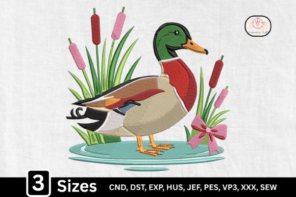 Nature Mallard Duck