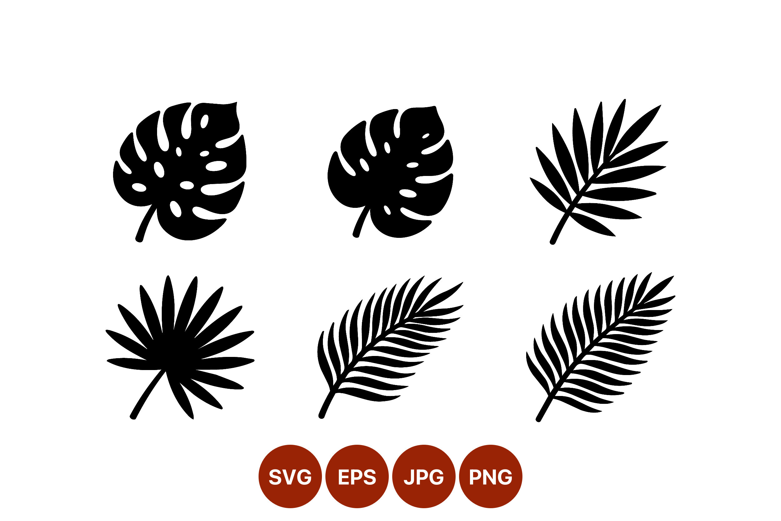 Tropical Monstera and Palm Leaf Graphic by DesignVectx · Creative Fabrica