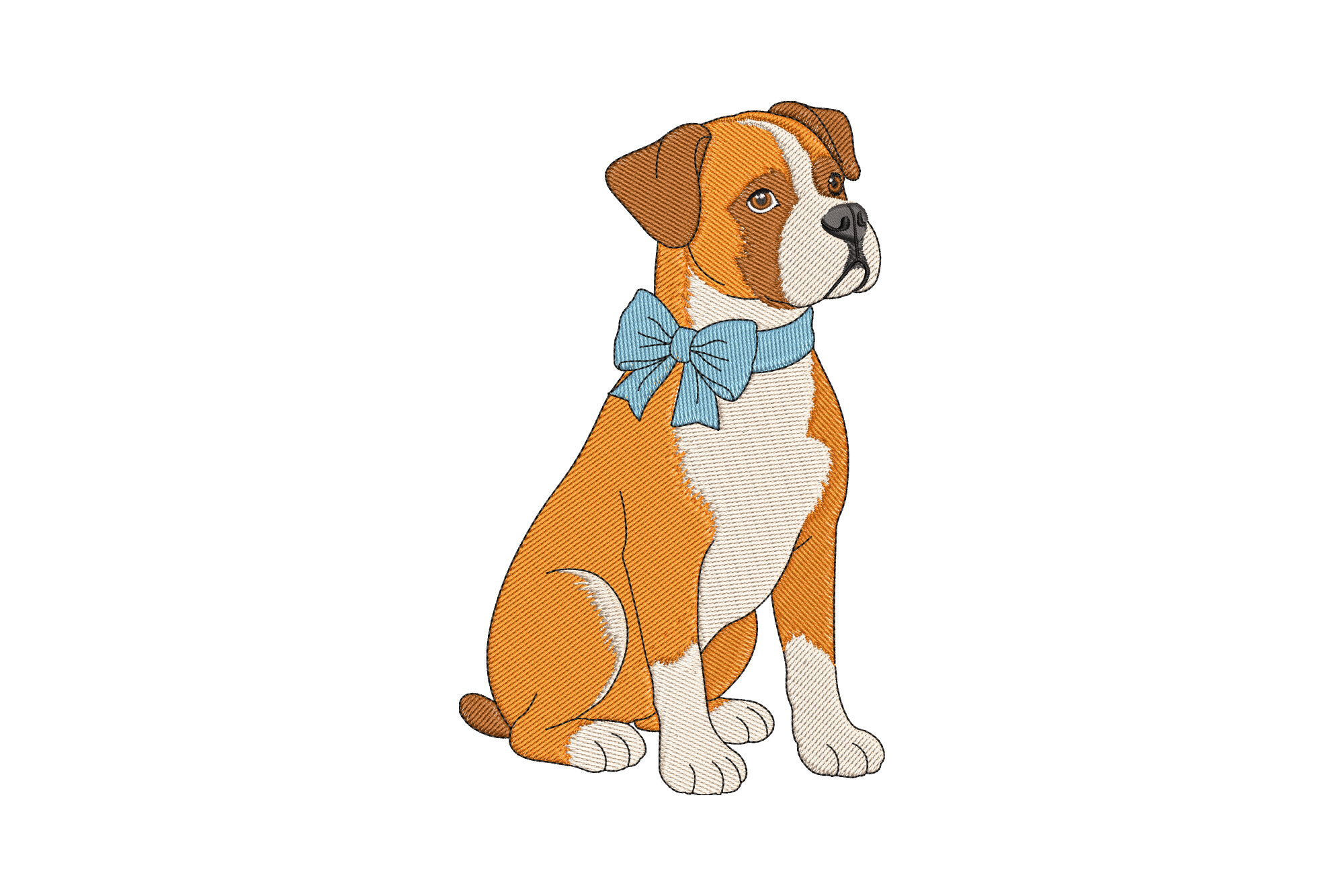 Boxer Dog
