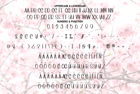 Cherry Blossom Font - Preview 6