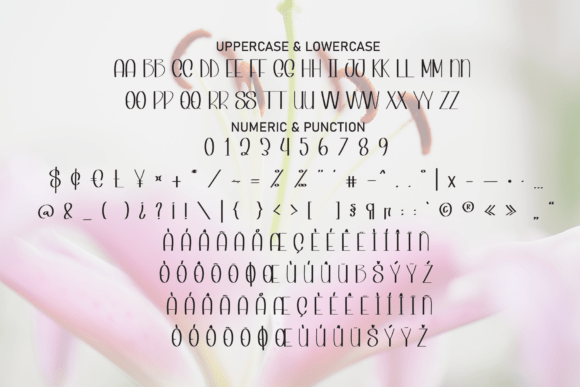 Lily Summer Font PNG with transparent background - Preview 6
