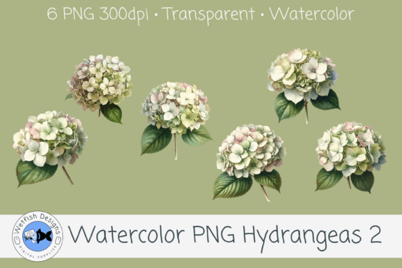 Watercolor Hydrangea PNG Clipart 2