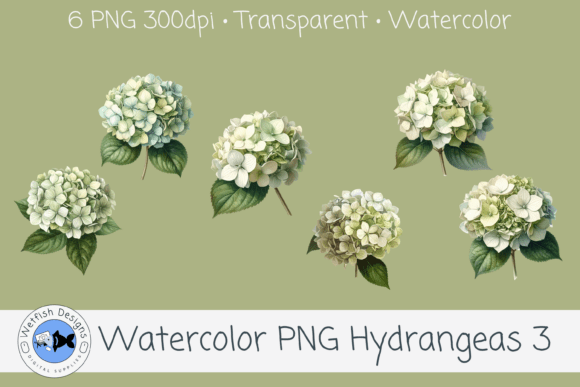 Watercolor Hydrangea PNG Clipart 3
