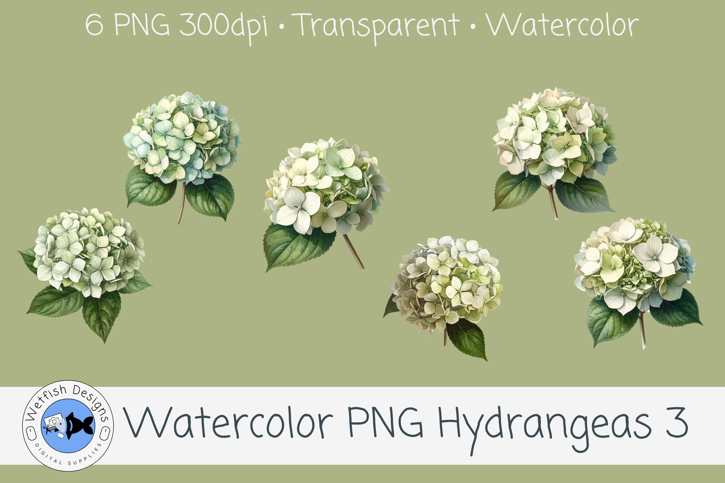 Watercolor Hydrangea PNG Clipart 3