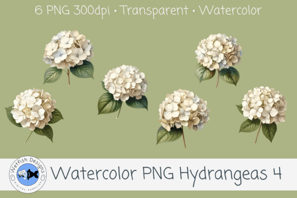 Watercolor Hydrangea PNG Clipart 4