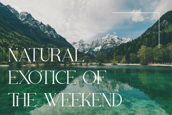 Arova Font - Preview 1