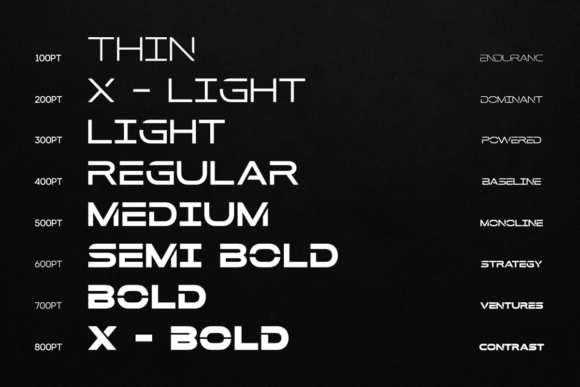 Bager Font - Preview 5