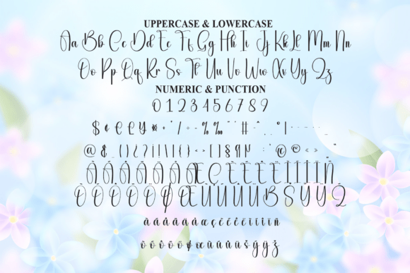 Beautiful Font - Preview 6