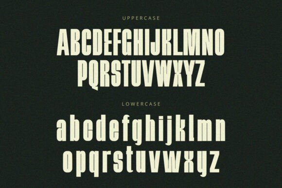 Bellmiora Font - Preview 6