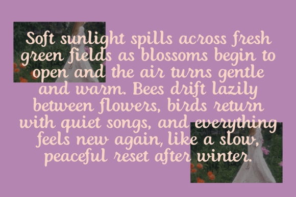 Blanche Font - Preview 3