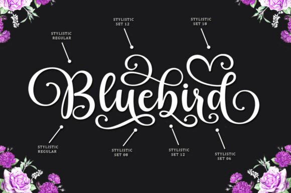 Bluebird Alishanty Font - Preview 4