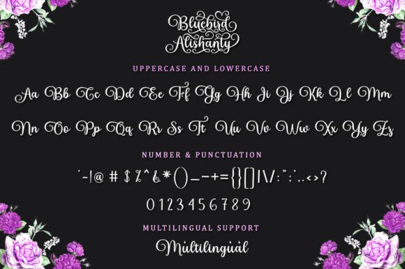 Bluebird Alishanty Font - Preview 6