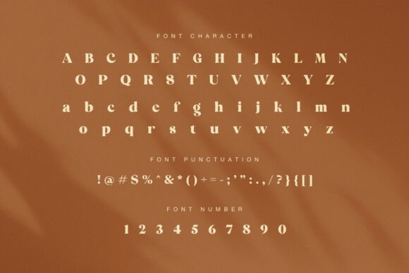 Carica Font - Preview 6