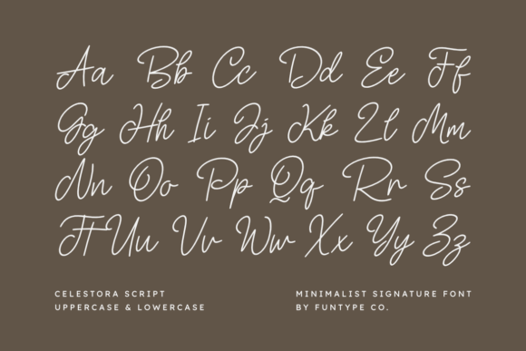 Celestora Script Font - Preview 1