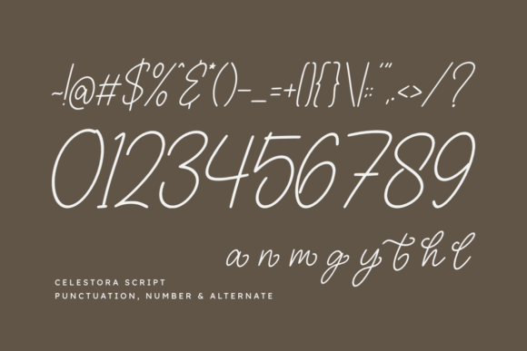 Celestora Script Font - Preview 2