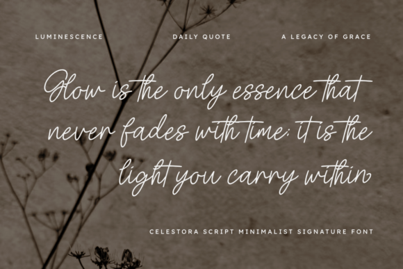Celestora Script Font - Preview 3