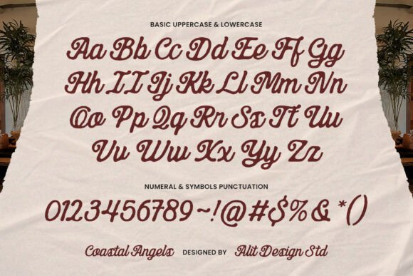 Coastal Angels Font - Preview 5