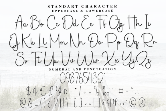 Delicate Clothes Font - Preview 6