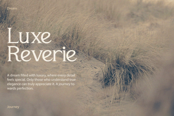 Feronia Font - Preview 2