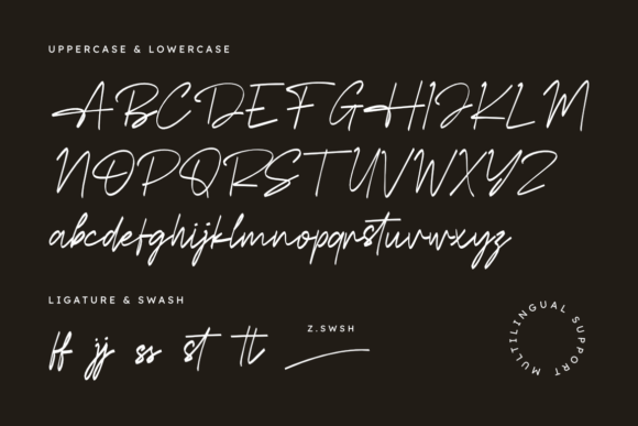 Havelin Signature Font - Preview 1