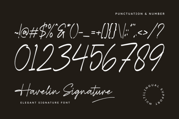 Havelin Signature Font - Preview 2