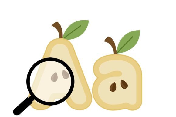 Pear Font PNG with transparent background - Preview 4