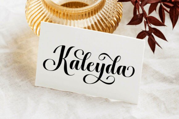Bela Rubrik Font - Preview 4