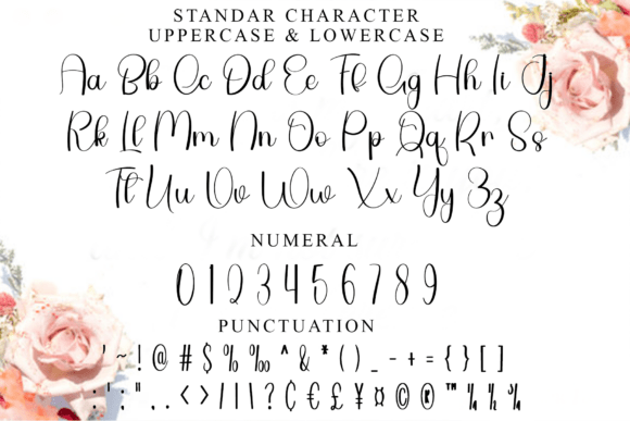 Bride Signature Font - Preview 2