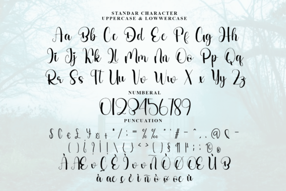 Calligraphy Mandala Font - Preview 4