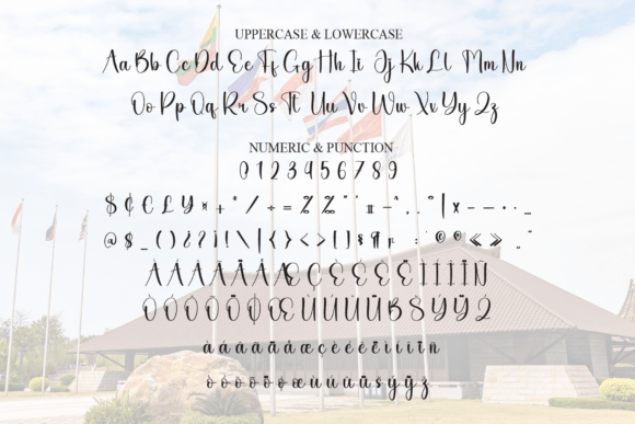 Country Font - Preview 6