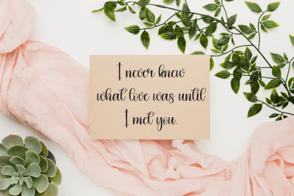 Dignity Font - Preview 2