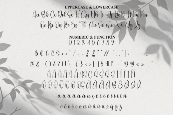 Dignity Font - Preview 6