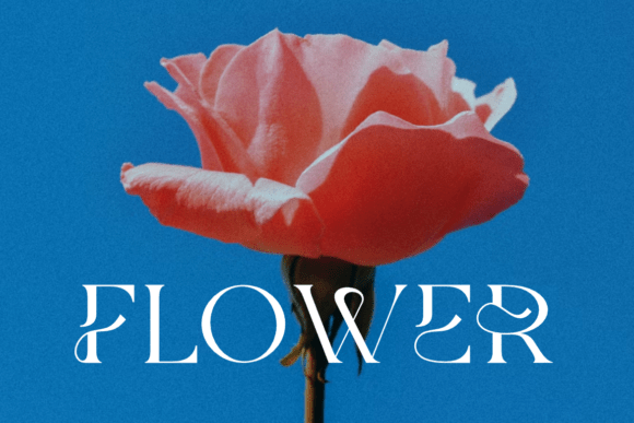 Molgife Font PNG with transparent background - Preview 6