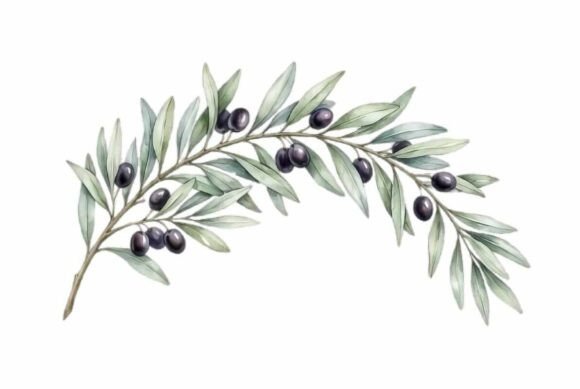 Olive Branch with Berries Clipart