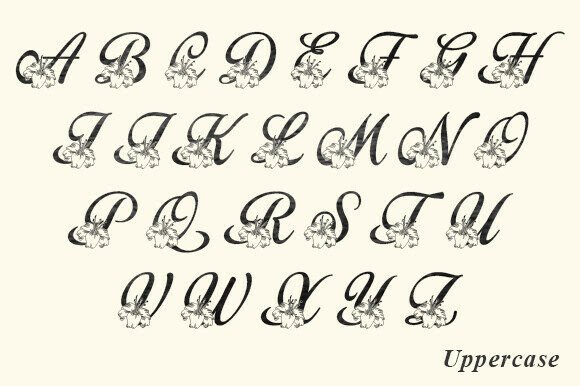 Beauty Lilly Font - Preview 4