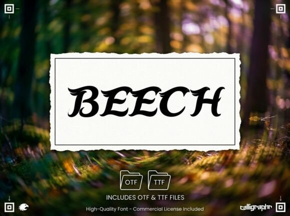 Beech Font - Preview 2