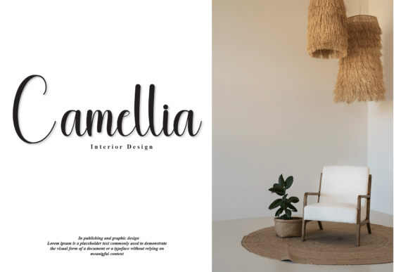 Dignity Font - Preview 1