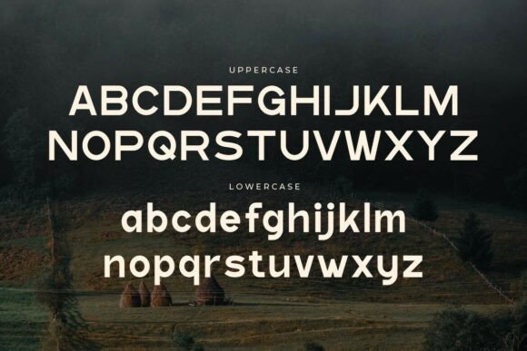 Donvo Font - Preview 1