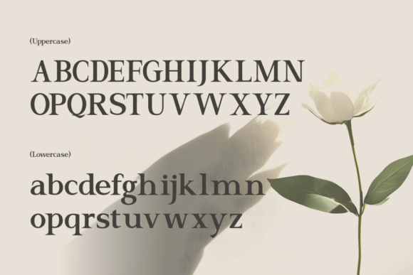 El Romantica Font - Preview 1