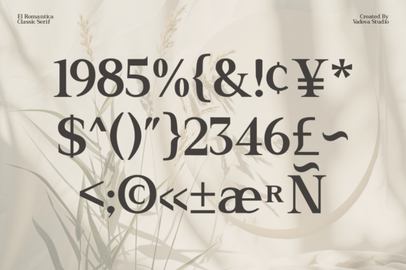 El Romantica Font - Preview 2