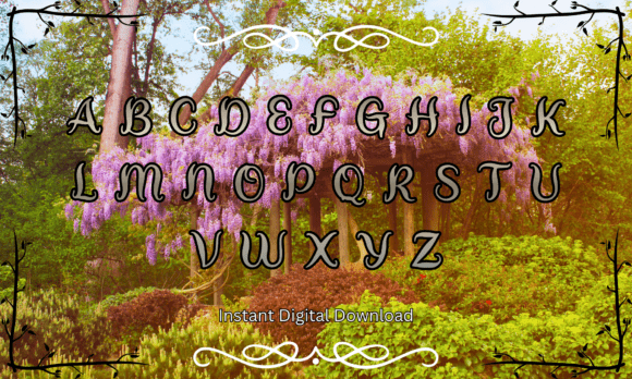 Elven Moonlight Font - Preview 1